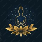 yoga store